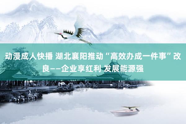动漫成人快播 湖北襄阳推动“高效办成一件事”改良——企业享红利 发展能源强
