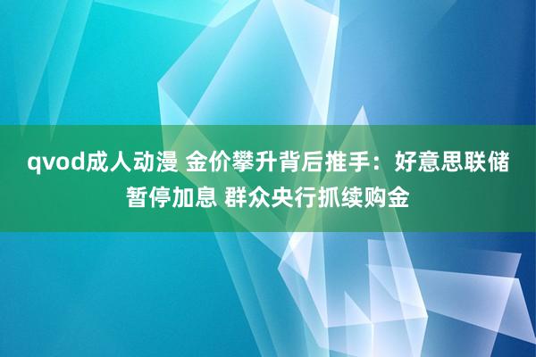 qvod成人动漫 金价攀升背后推手：好意思联储暂停加息 群众央行抓续购金
