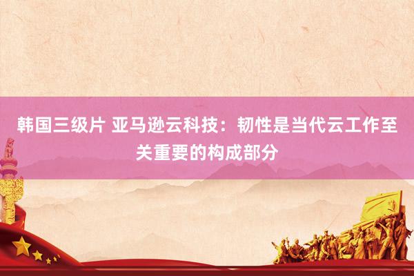 韩国三级片 亚马逊云科技：韧性是当代云工作至关重要的构成部分