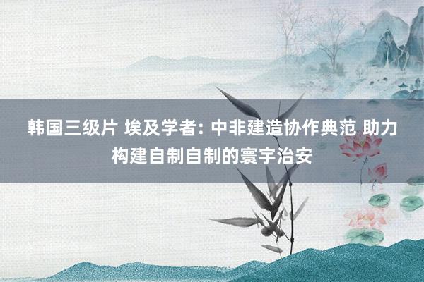 韩国三级片 埃及学者: 中非建造协作典范 助力构建自制自制的寰宇治安