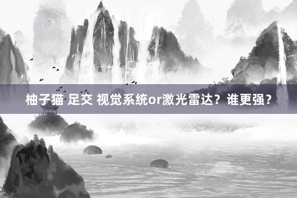 柚子猫 足交 视觉系统or激光雷达？谁更强？