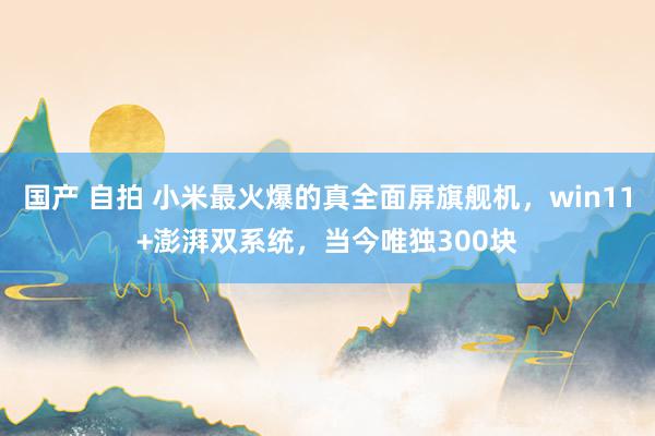 国产 自拍 小米最火爆的真全面屏旗舰机，win11+澎湃双系统，当今唯独300块