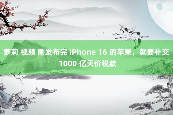 萝莉 视频 刚发布完 iPhone 16 的苹果，就要补交 1000 亿天价税款