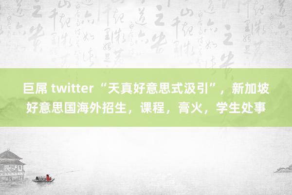 巨屌 twitter “天真好意思式汲引”，新加坡好意思国海外招生，课程，膏火，学生处事