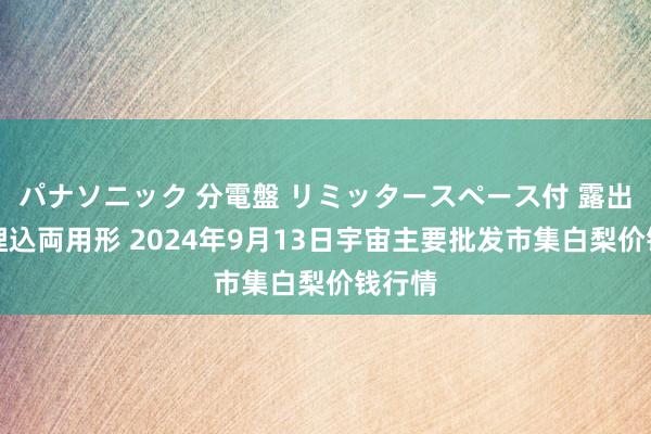 パナソニック 分電盤 リミッタースペース付 露出・半埋込両用形 2024年9月13日宇宙主要批发市集白梨价钱行情