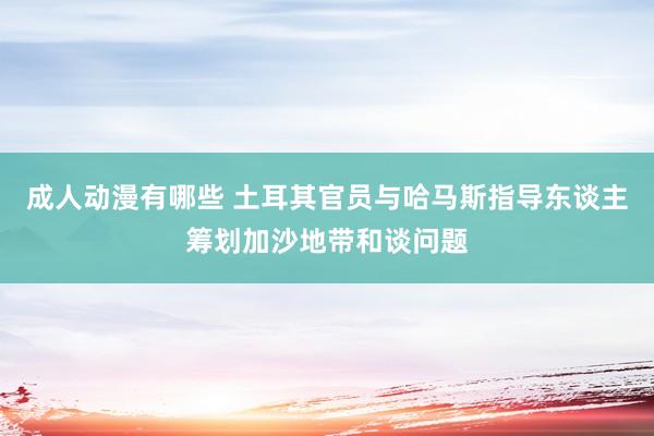 成人动漫有哪些 土耳其官员与哈马斯指导东谈主筹划加沙地带和谈问题
