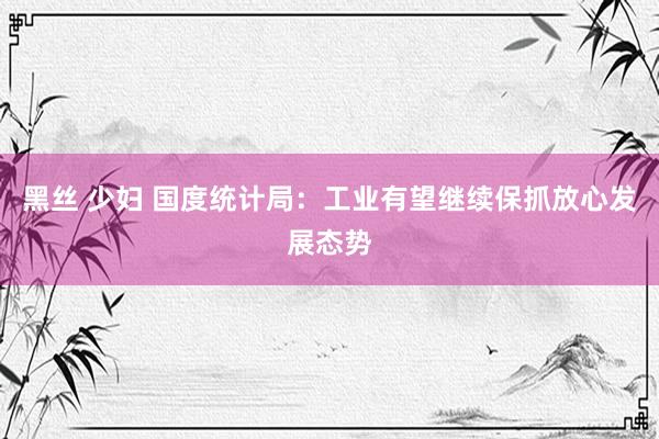黑丝 少妇 国度统计局：工业有望继续保抓放心发展态势
