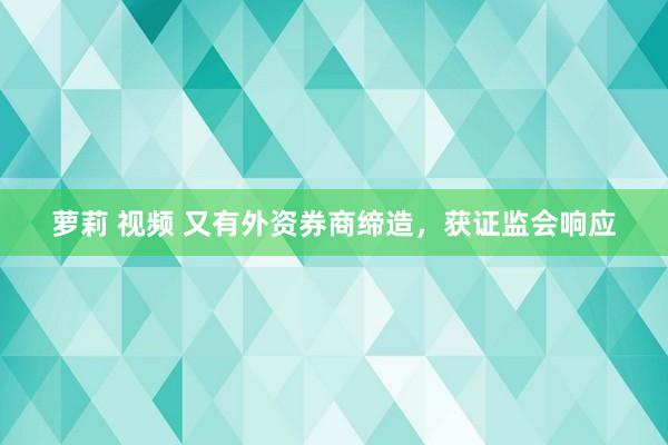 萝莉 视频 又有外资券商缔造，获证监会响应