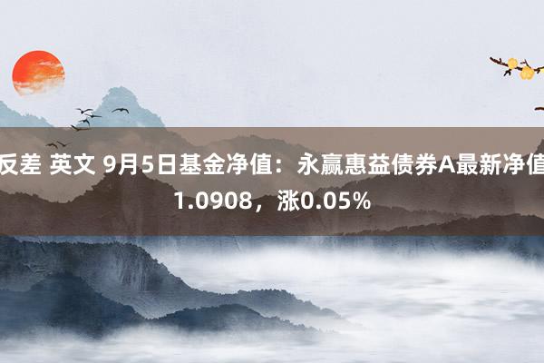 反差 英文 9月5日基金净值：永赢惠益债券A最新净值1.0908，涨0.05%