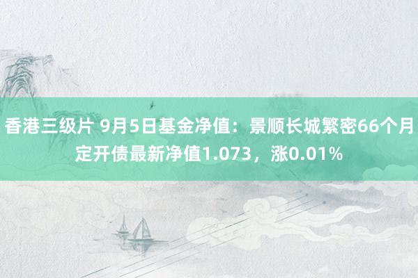 香港三级片 9月5日基金净值：景顺长城繁密66个月定开债最新净值1.073，涨0.01%