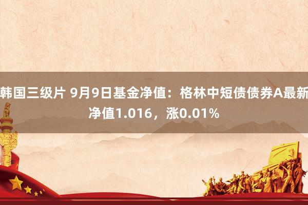 韩国三级片 9月9日基金净值：格林中短债债券A最新净值1.016，涨0.01%