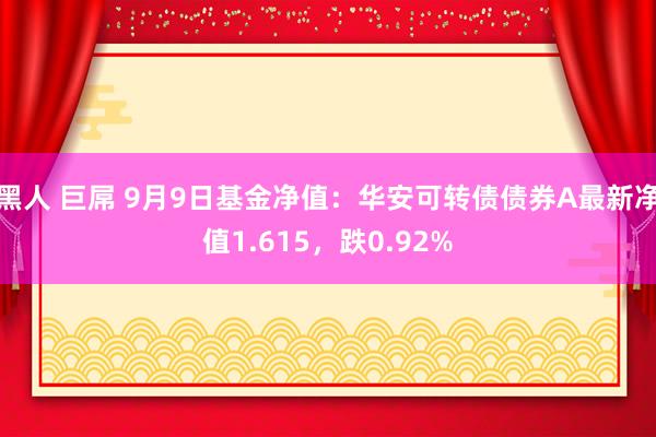 黑人 巨屌 9月9日基金净值：华安可转债债券A最新净值1.615，跌0.92%