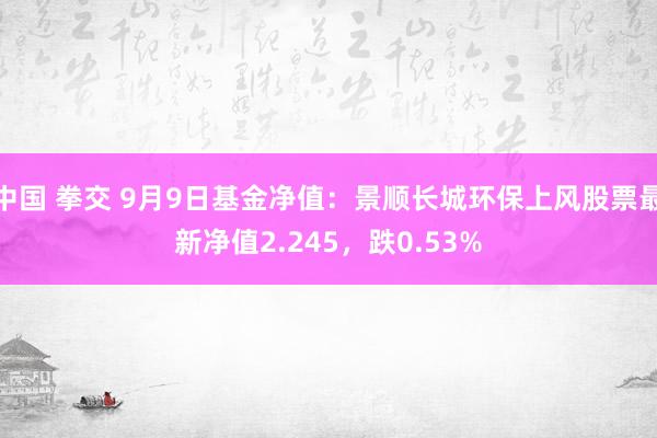 中国 拳交 9月9日基金净值：景顺长城环保上风股票最新净值2.245，跌0.53%