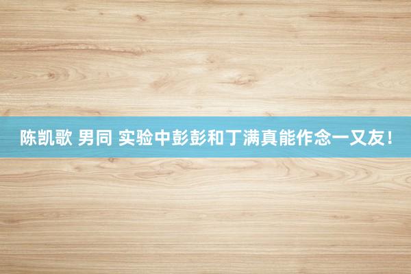 陈凯歌 男同 实验中彭彭和丁满真能作念一又友！