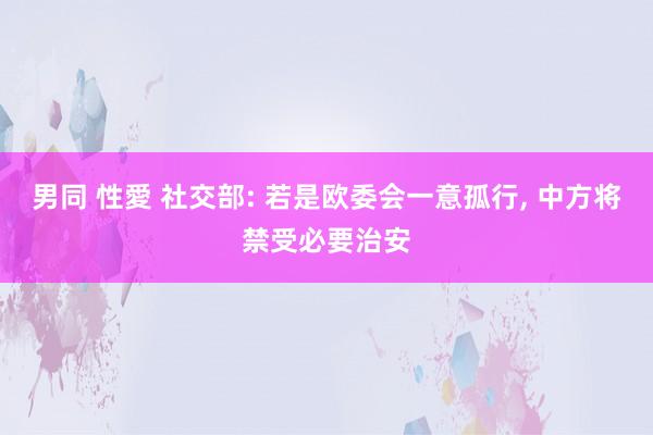 男同 性愛 社交部: 若是欧委会一意孤行, 中方将禁受必要治安