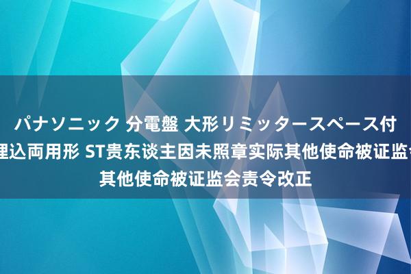 パナソニック 分電盤 大形リミッタースペース付 露出・半埋込両用形 ST贵东谈主因未照章实际其他使命被证监会责令改正
