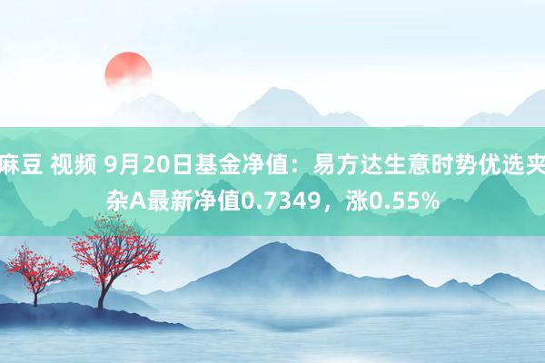 麻豆 视频 9月20日基金净值：易方达生意时势优选夹杂A最新净值0.7349，涨0.55%