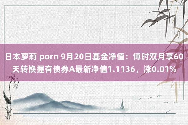 日本萝莉 porn 9月20日基金净值：博时双月享60天转换握有债券A最新净值1.1136，涨0.01%