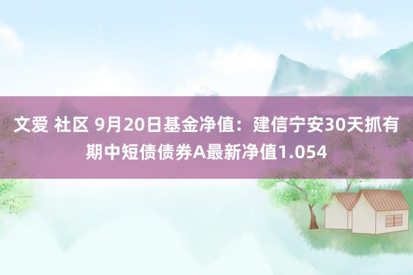 文爱 社区 9月20日基金净值：建信宁安30天抓有期中短债债券A最新净值1.054