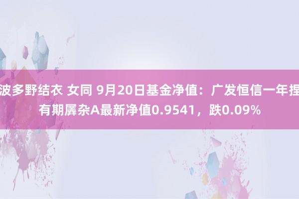 波多野结衣 女同 9月20日基金净值：广发恒信一年捏有期羼杂A最新净值0.9541，跌0.09%