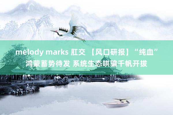 melody marks 肛交 【风口研报】“纯血”鸿蒙蓄势待发 系统生态哄骗千帆开拔