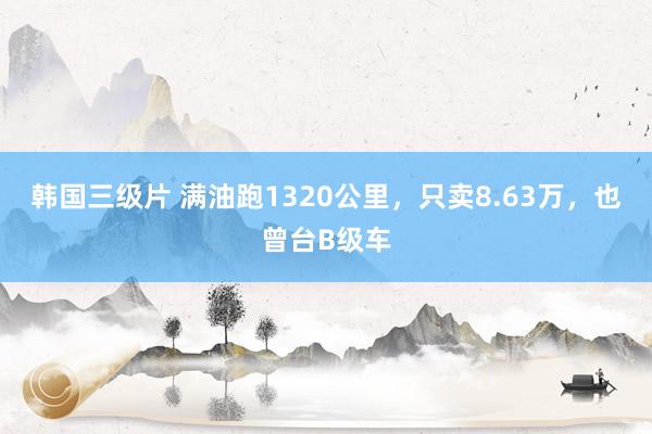 韩国三级片 满油跑1320公里，只卖8.63万，也曾台B级车