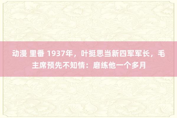 动漫 里番 1937年，叶挺思当新四军军长，毛主席预先不知情：磨练他一个多月