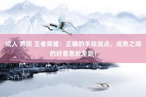 成人 男同 王者荣耀：正确的手段加点，成败之间的好意思妙差距！