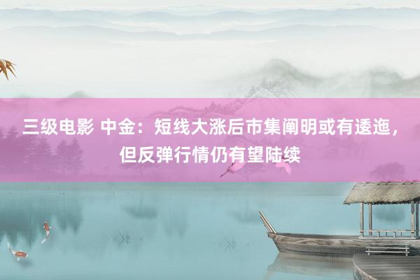 三级电影 中金：短线大涨后市集阐明或有逶迤，但反弹行情仍有望陆续