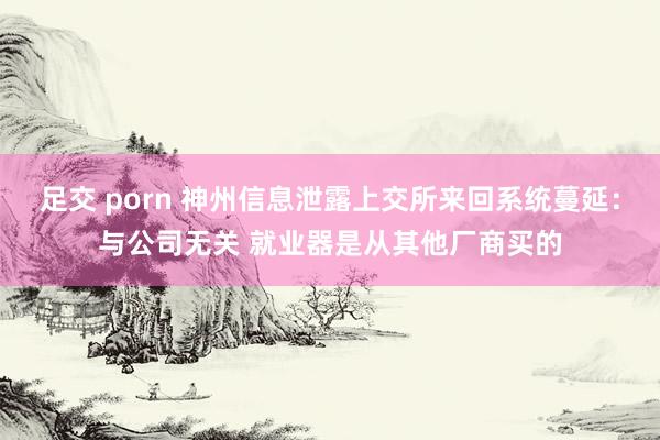 足交 porn 神州信息泄露上交所来回系统蔓延：与公司无关 就业器是从其他厂商买的
