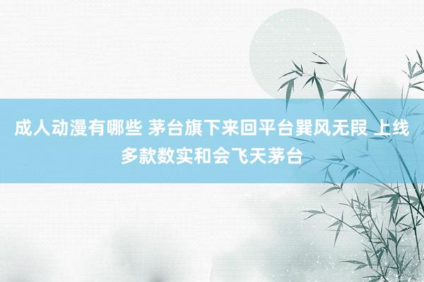 成人动漫有哪些 茅台旗下来回平台巽风无叚 上线多款数实和会飞天茅台