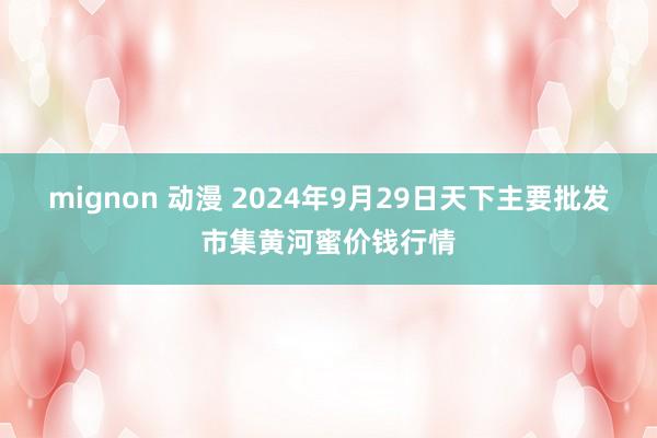 mignon 动漫 2024年9月29日天下主要批发市集黄河蜜价钱行情