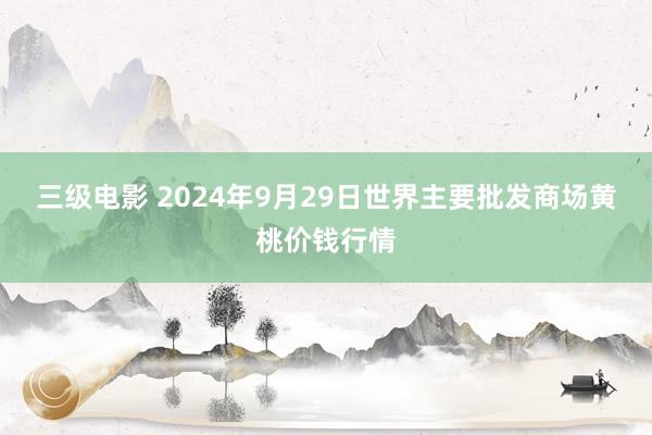 三级电影 2024年9月29日世界主要批发商场黄桃价钱行情