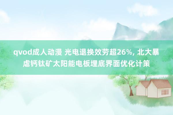 qvod成人动漫 光电退换效劳超26%, 北大暴虐钙钛矿太阳能电板埋底界面优化计策