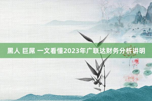 黑人 巨屌 一文看懂2023年广联达财务分析讲明