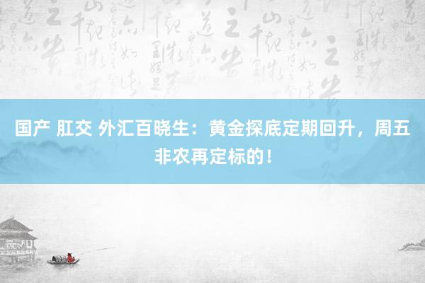 国产 肛交 外汇百晓生：黄金探底定期回升，周五非农再定标的！