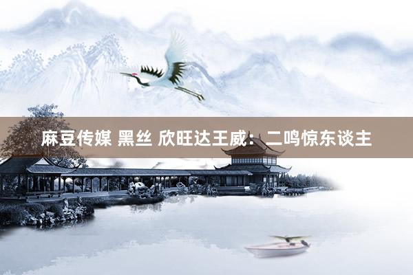 麻豆传媒 黑丝 欣旺达王威：二鸣惊东谈主
