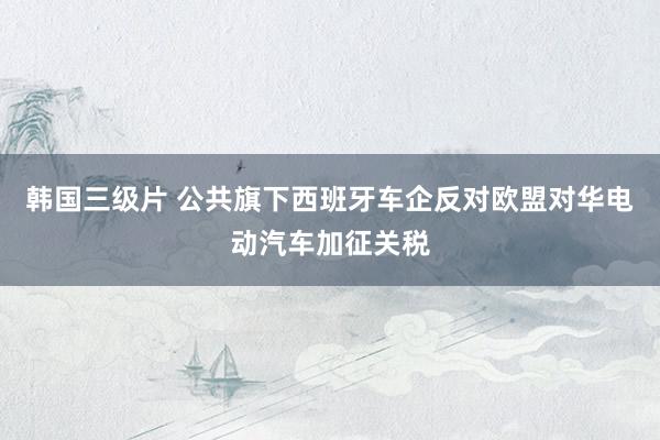 韩国三级片 公共旗下西班牙车企反对欧盟对华电动汽车加征关税