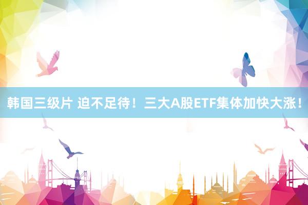 韩国三级片 迫不足待！三大A股ETF集体加快大涨！