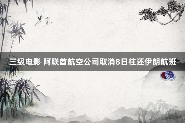三级电影 阿联酋航空公司取消8日往还伊朗航班