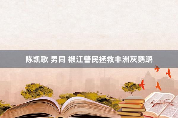 陈凯歌 男同 椒江警民拯救非洲灰鹦鹉