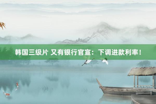 韩国三级片 又有银行官宣：下调进款利率！