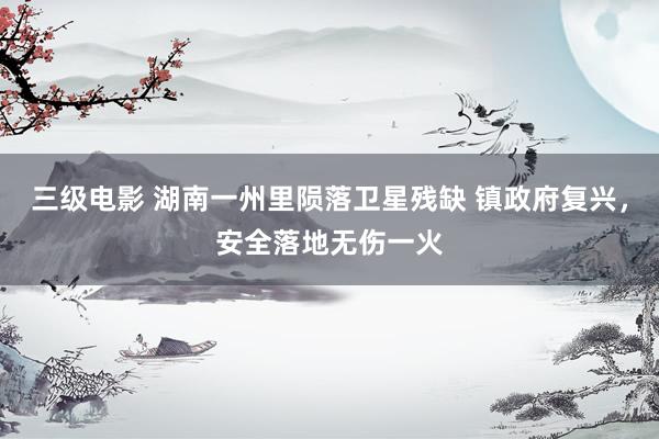 三级电影 湖南一州里陨落卫星残缺 镇政府复兴，安全落地无伤一火