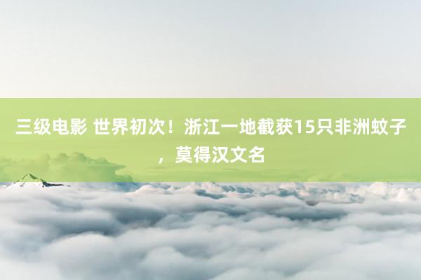 三级电影 世界初次！浙江一地截获15只非洲蚊子，莫得汉文名