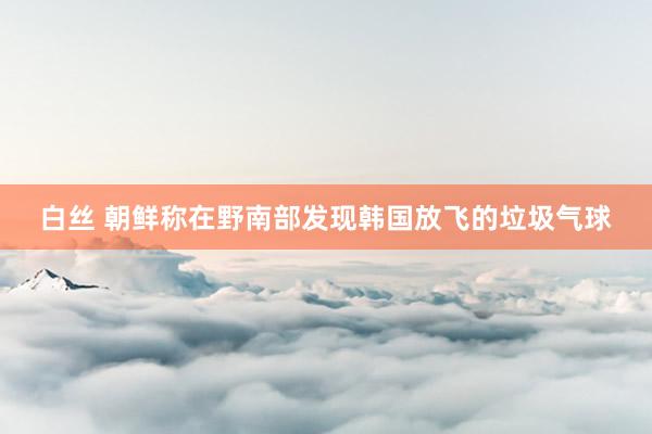 白丝 朝鲜称在野南部发现韩国放飞的垃圾气球