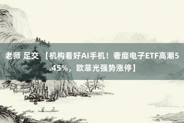 老师 足交 【机构看好AI手机！奢靡电子ETF高潮5.45%，欧菲光强势涨停】