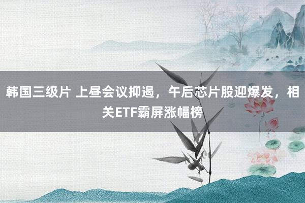韩国三级片 上昼会议抑遏，午后芯片股迎爆发，相关ETF霸屏涨幅榜