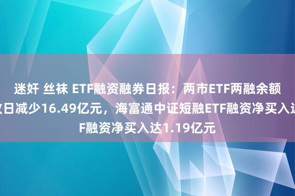 迷奸 丝袜 ETF融资融券日报：两市ETF两融余额较前一往改日减少16.49亿元，海富通中证短融ETF融资净买入达1.19亿元