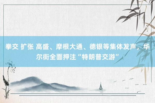 拳交 扩张 高盛、摩根大通、德银等集体发声，华尔街全面押注“特朗普交游”