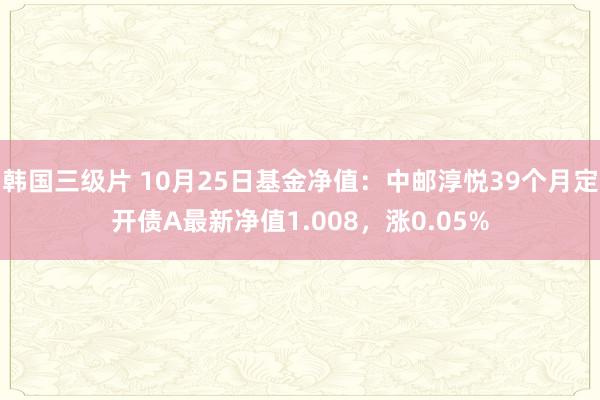 韩国三级片 10月25日基金净值：中邮淳悦39个月定开债A最新净值1.008，涨0.05%